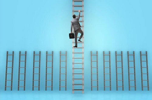 Opportunities for Experienced Professionals
